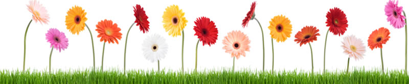 cleaning company Winchester, cleaning companies winchester
